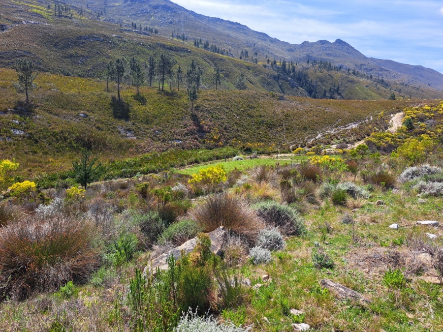 7 Bedroom Property for Sale in Riversdale Rural Western Cape